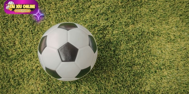 Kỹ năng quản lý giúp duy trì phong độ